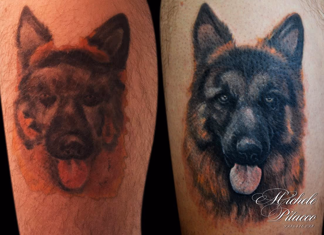 Restyling of Dog
