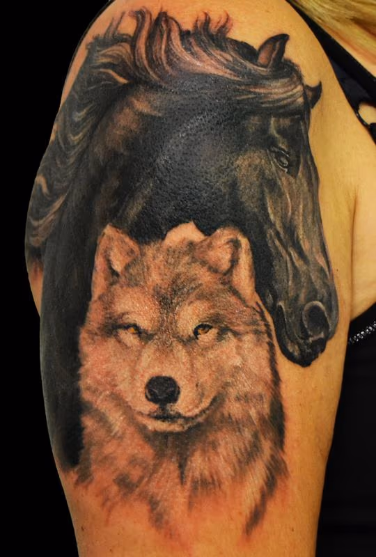 horse with wolf
