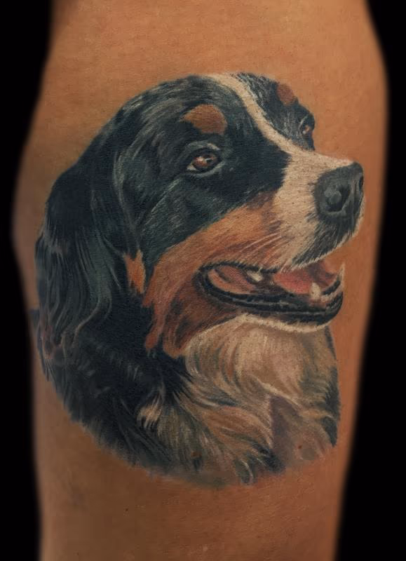 Dog