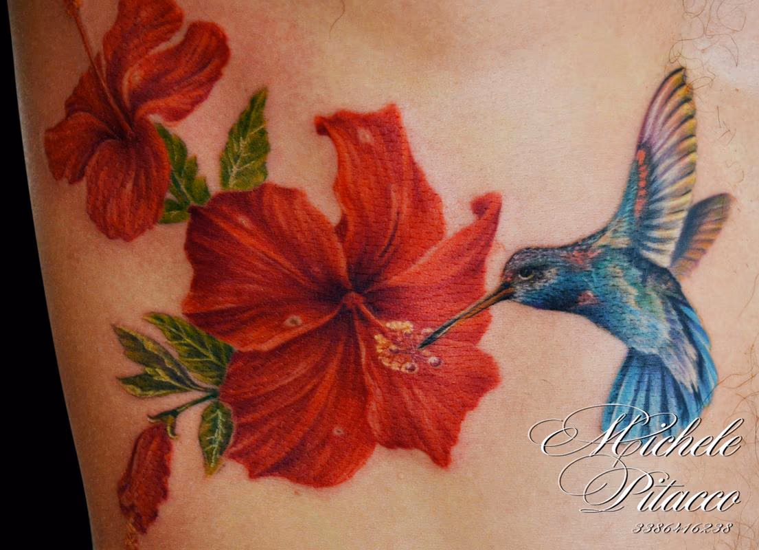 hummingbird with hibisus