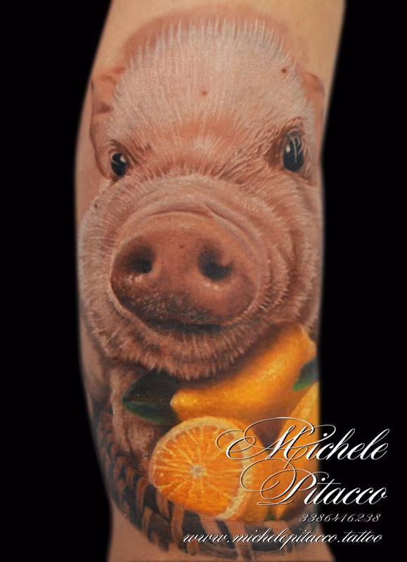 pig