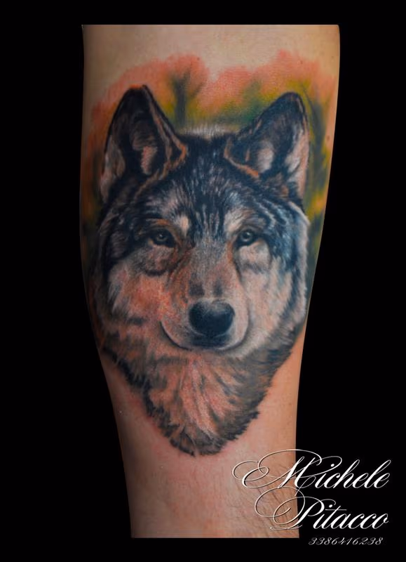 Wolf