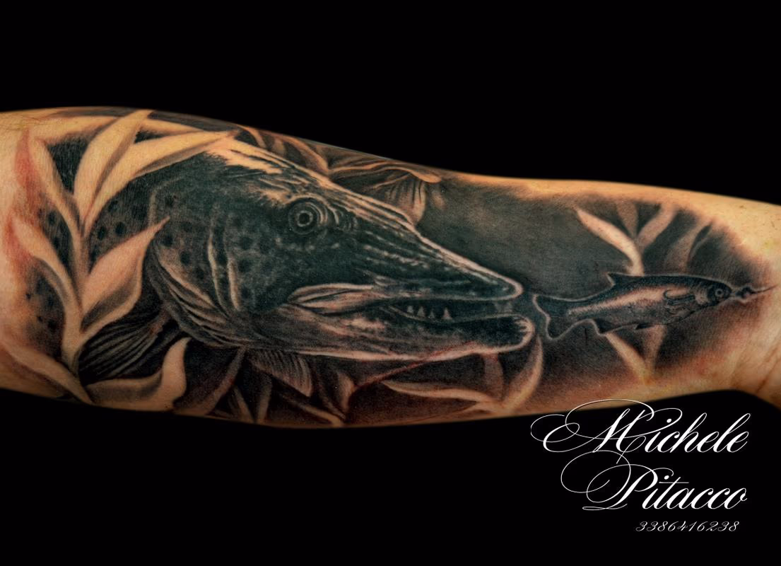 Fish