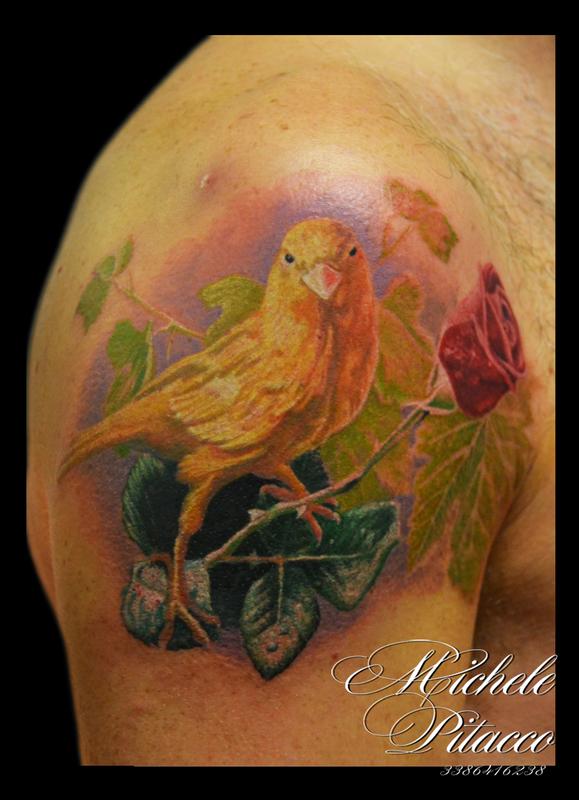 Canarin