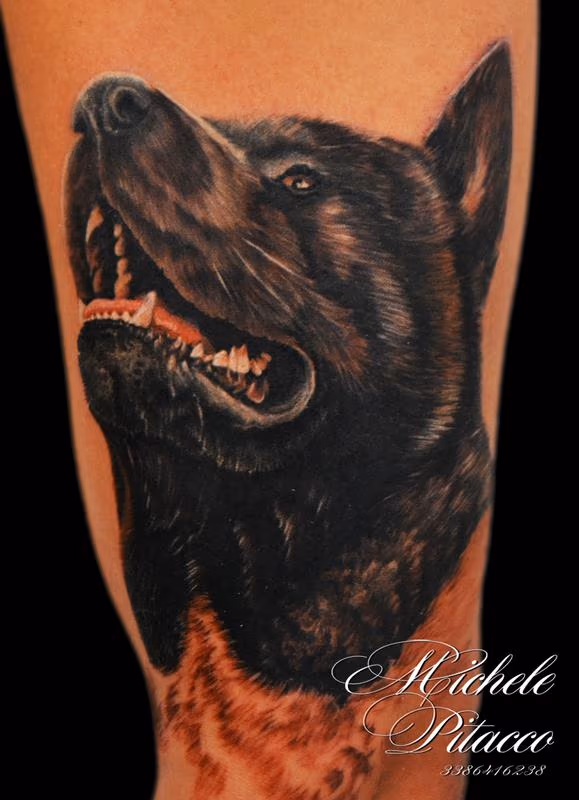 Akita dog