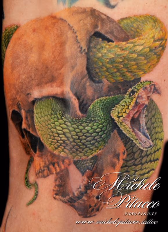 Snake skull