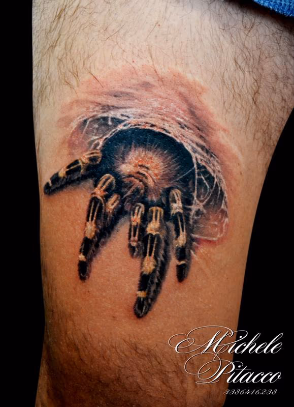 spider