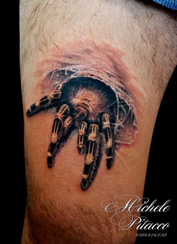 spider