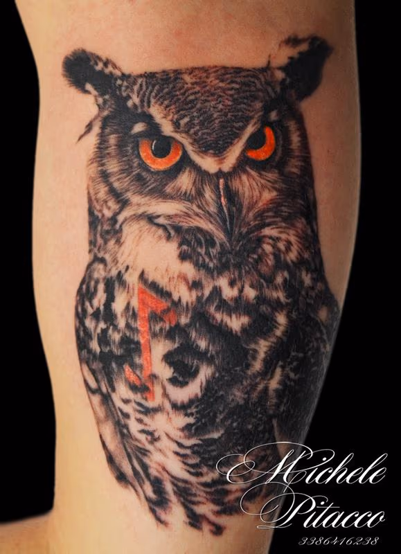 Owl