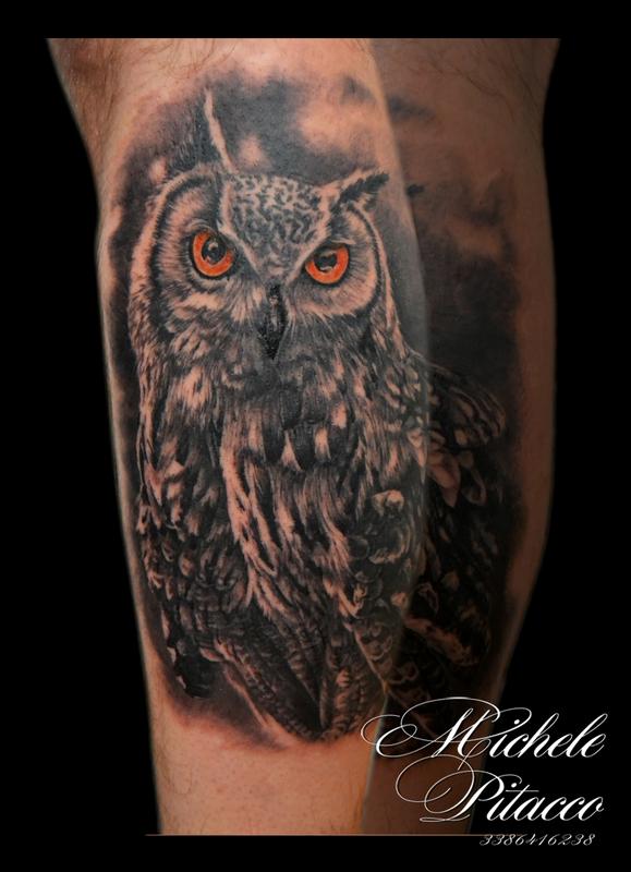 owl