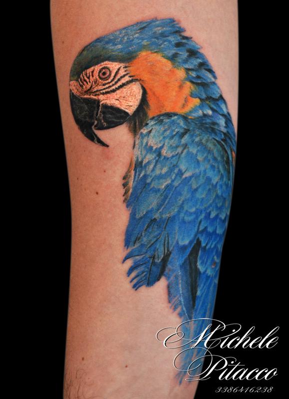 parrot