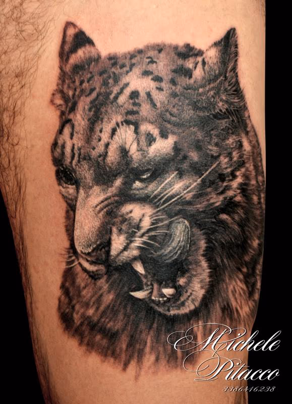 Snow Leopard