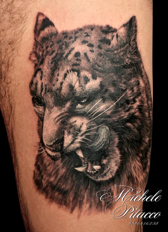 Snow Leopard