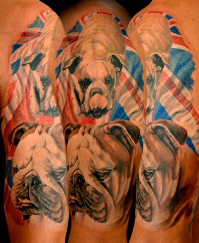 English Bulldog