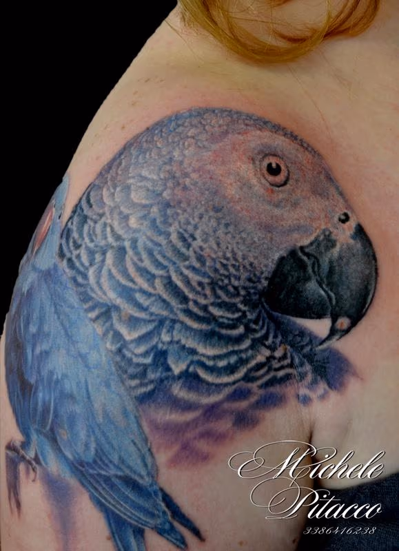 Parrot