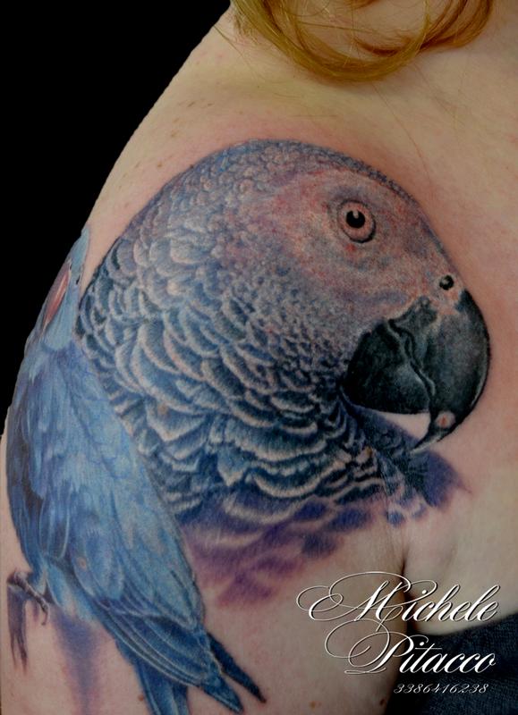 Parrot