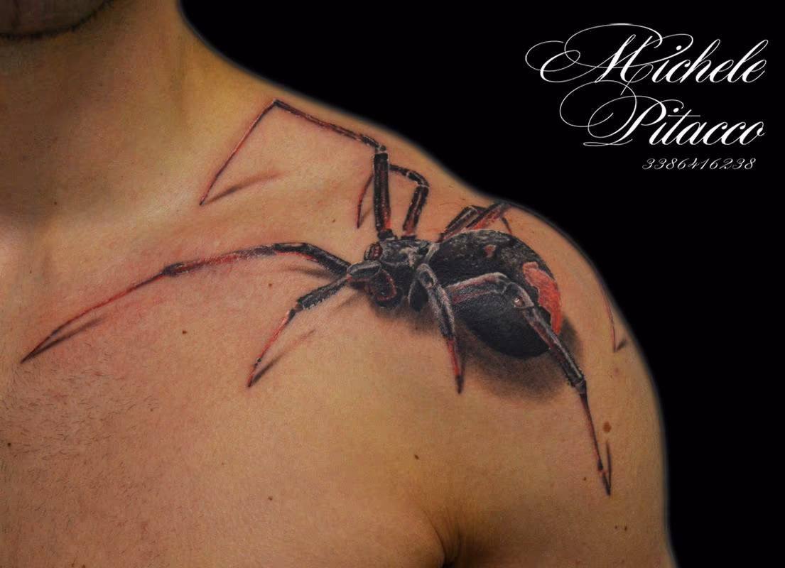 Spider