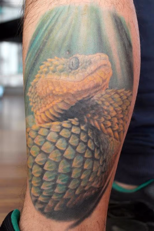 michele@offthemaptattoo.com, snake, serpente