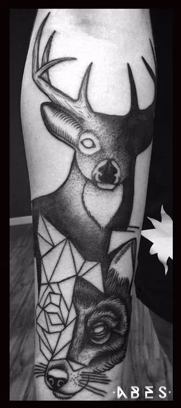 wolf and deer