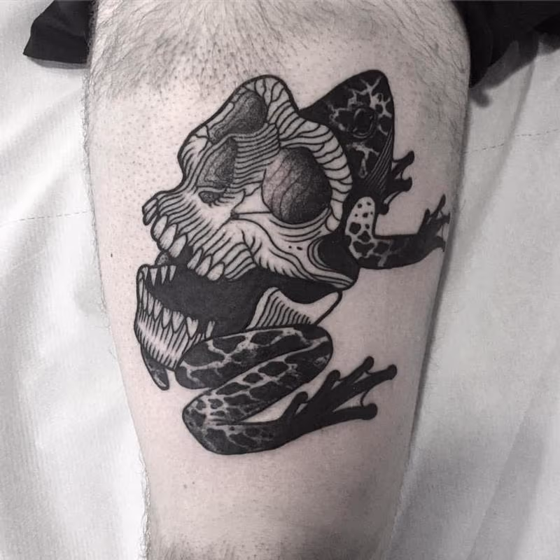 frog skull