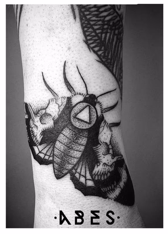moth skull