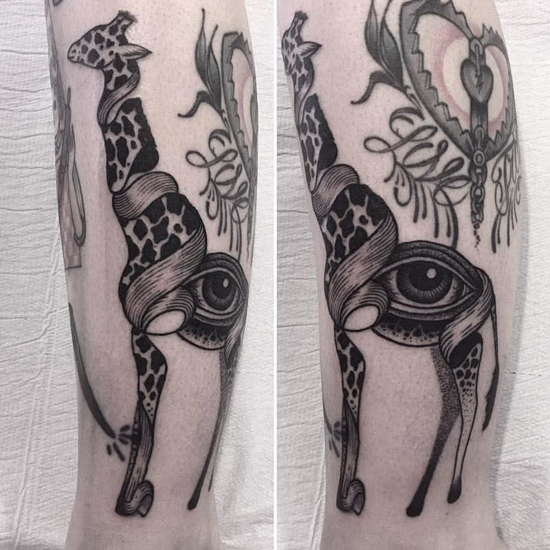 eye giraffe