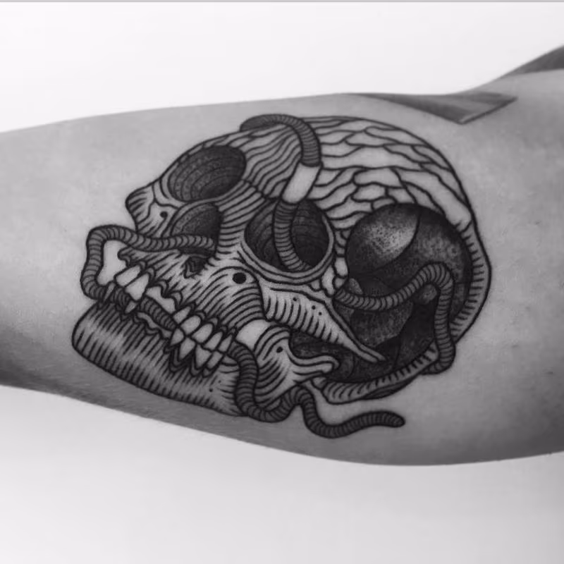 wormskull
