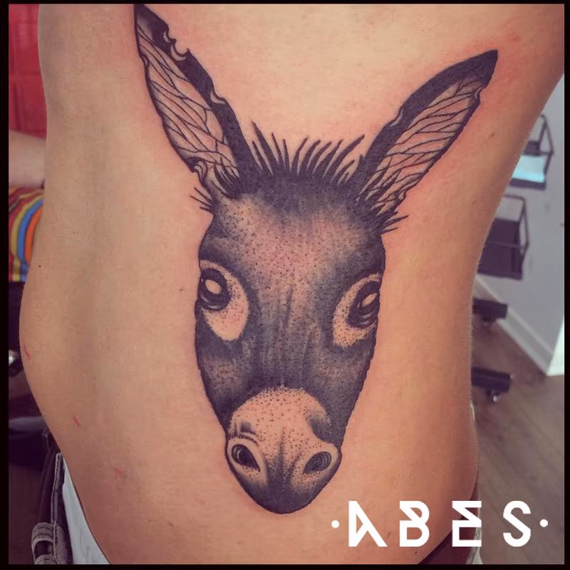 donkey