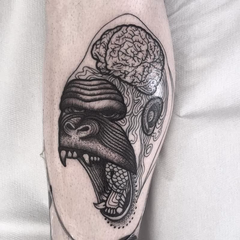 gorilla brain