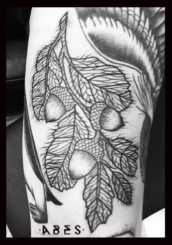 acorns