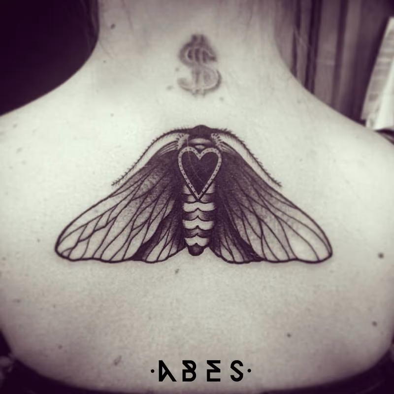 hearth moth