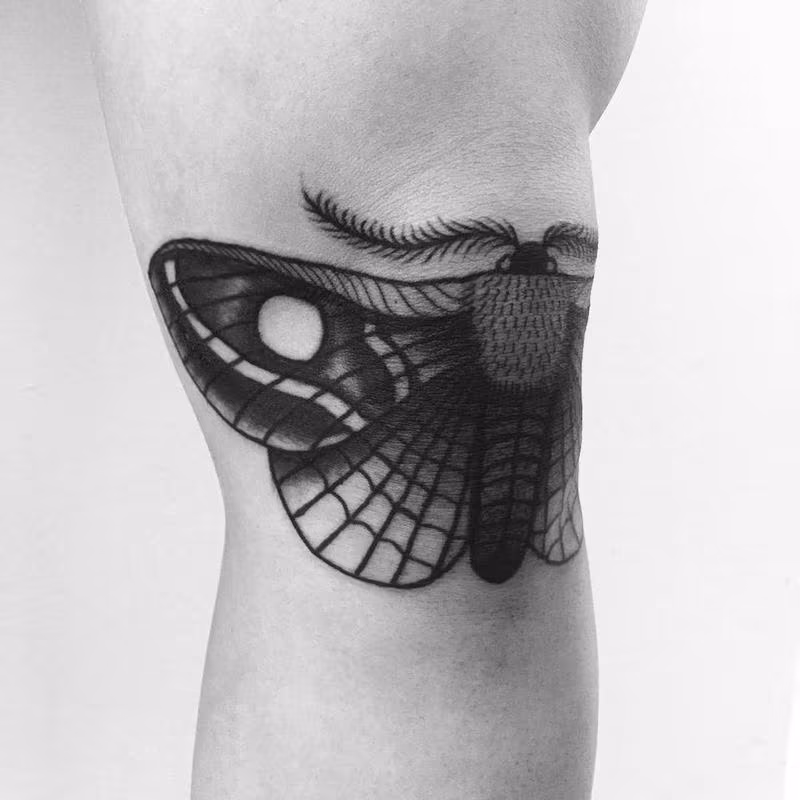 moth on knee