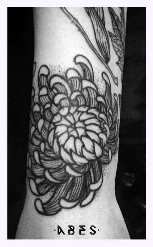 chrysanthemum