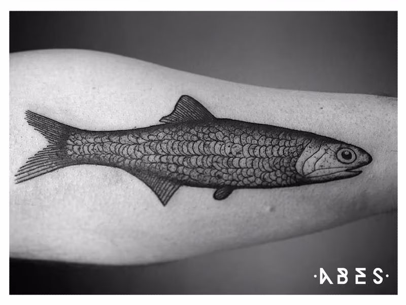 sardine