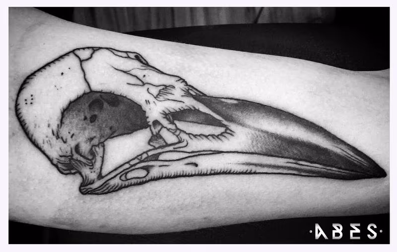 crow skull