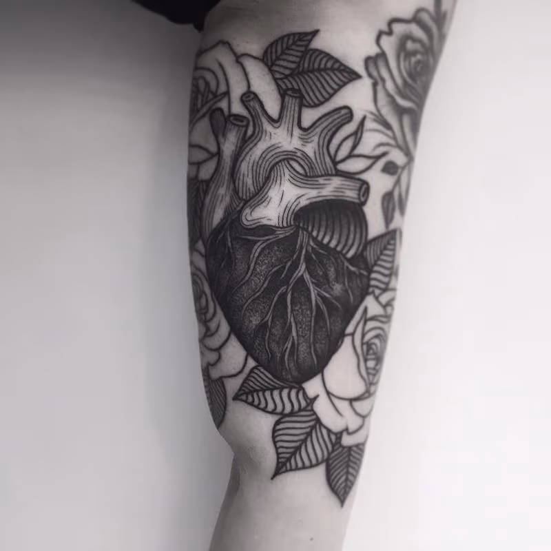 heart in progress