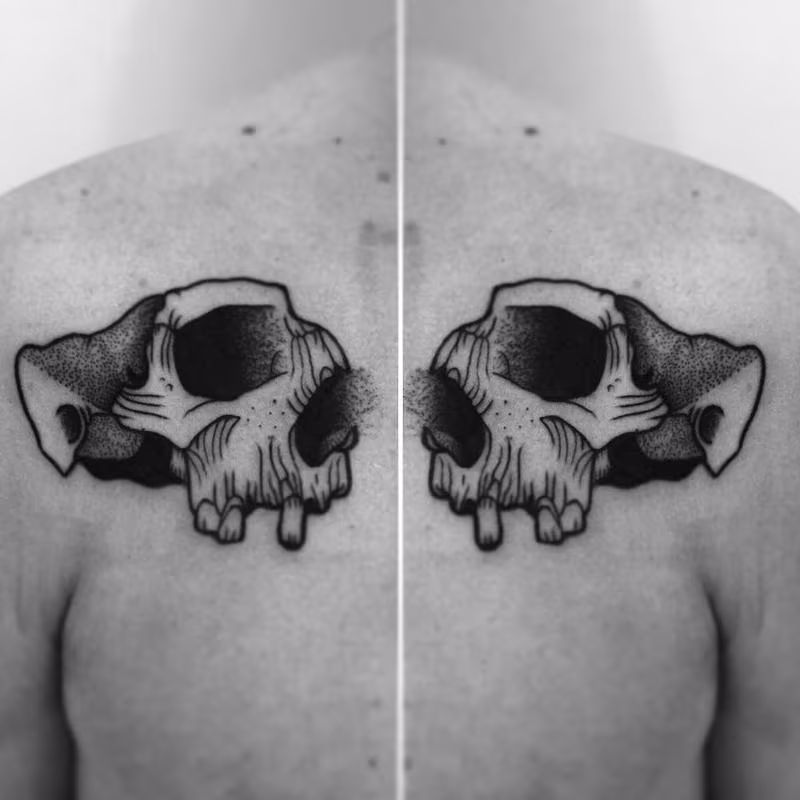 portion of skull
