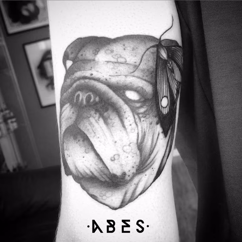 zombie bulldog
