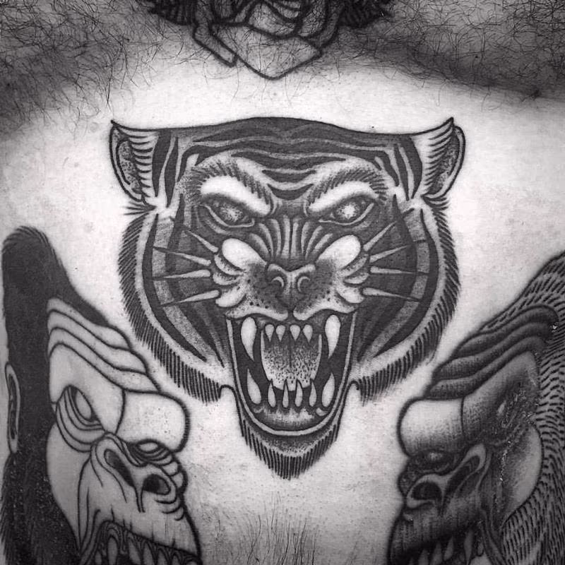 tiger