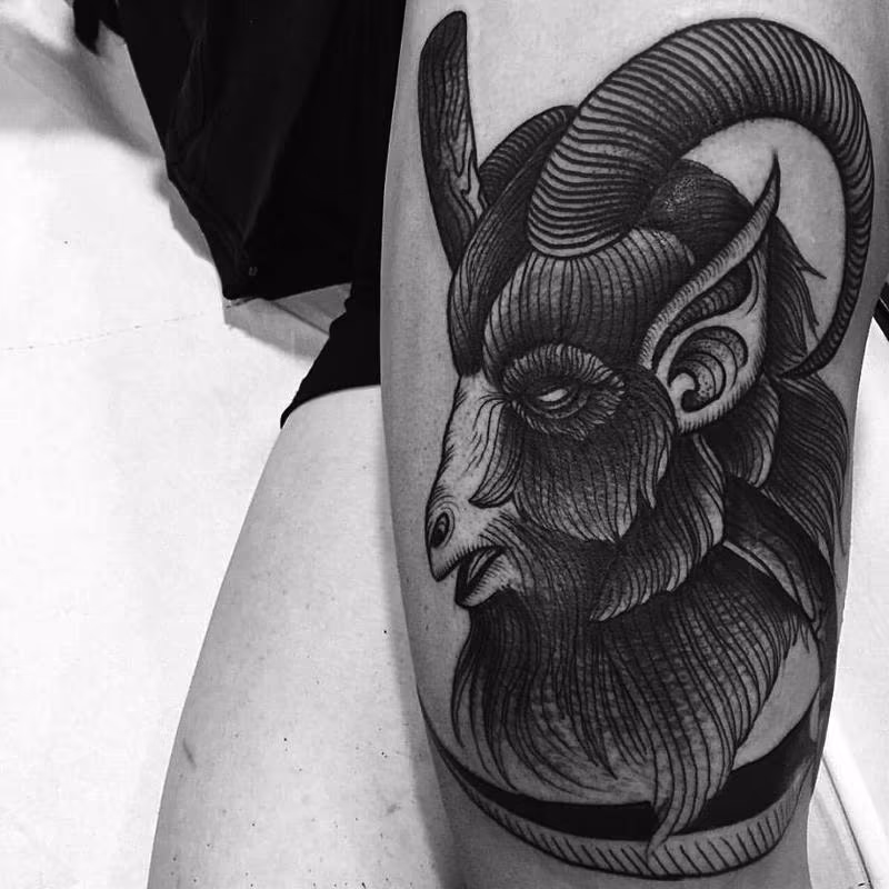 goat
