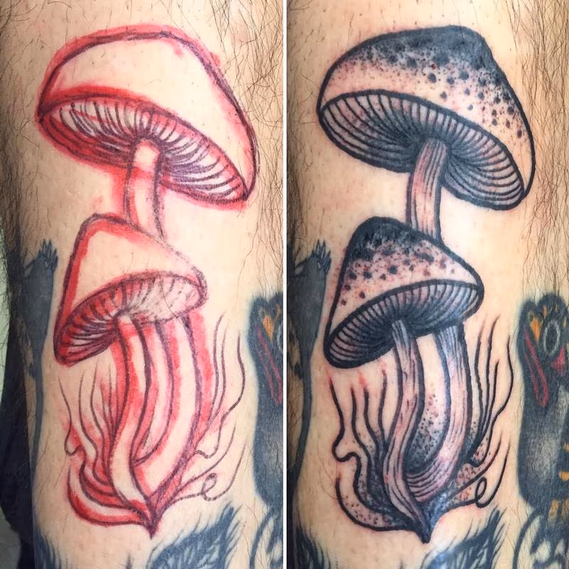 mashrooms