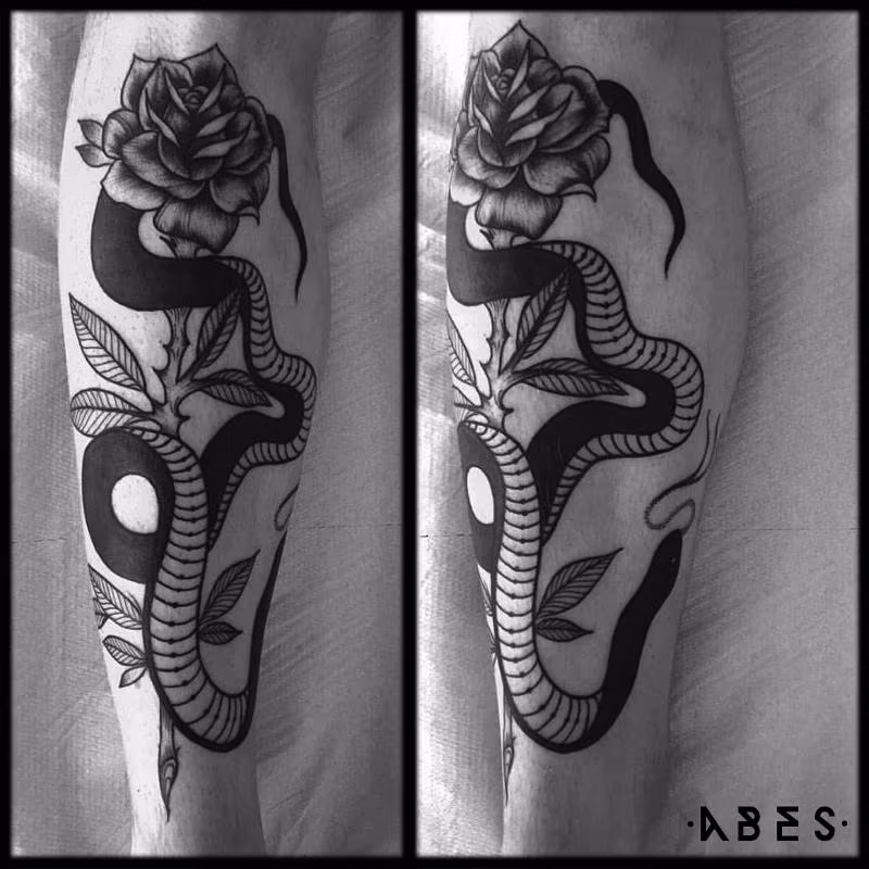 snake black