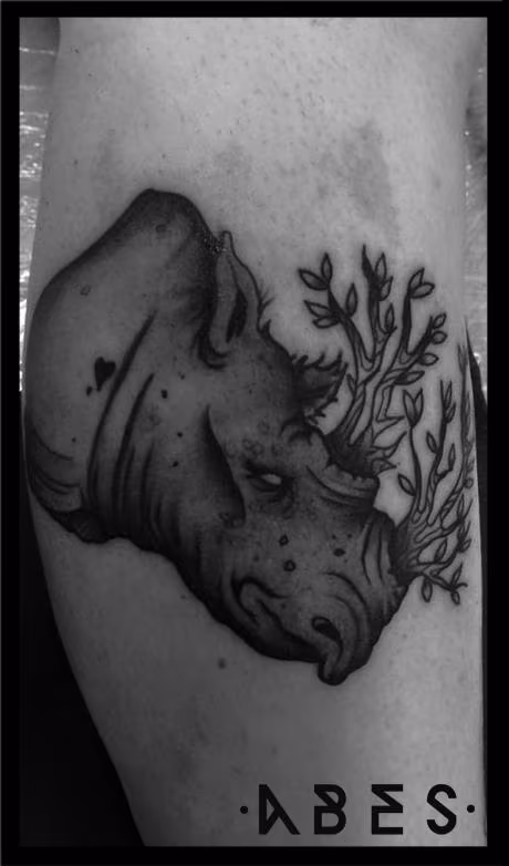 nature rino