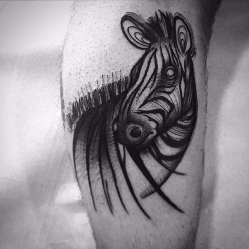 zebra head