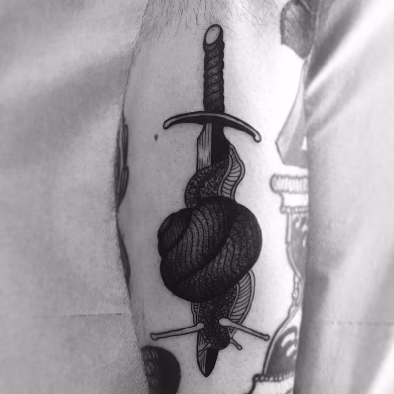dagger snail