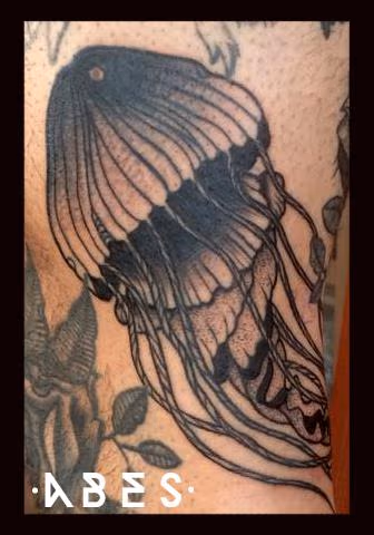 jellyfish