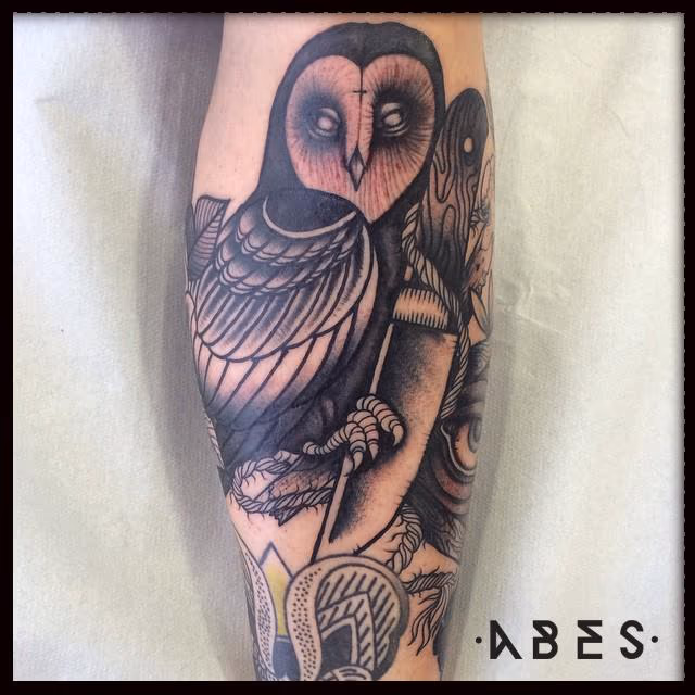 black barn owl