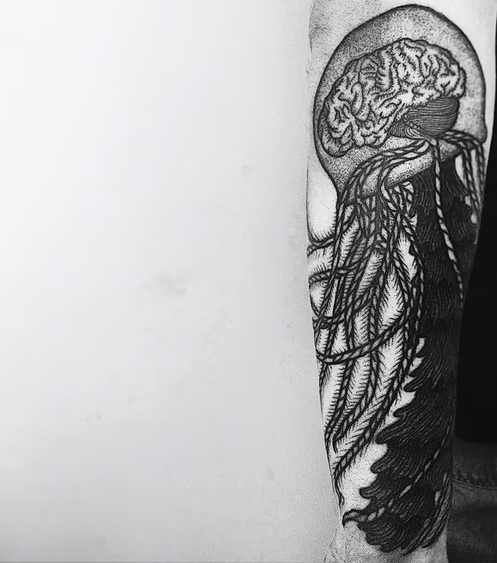 brain jellyfish
