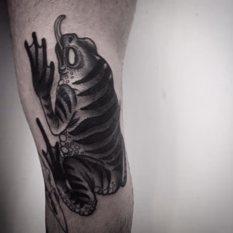 frog knee