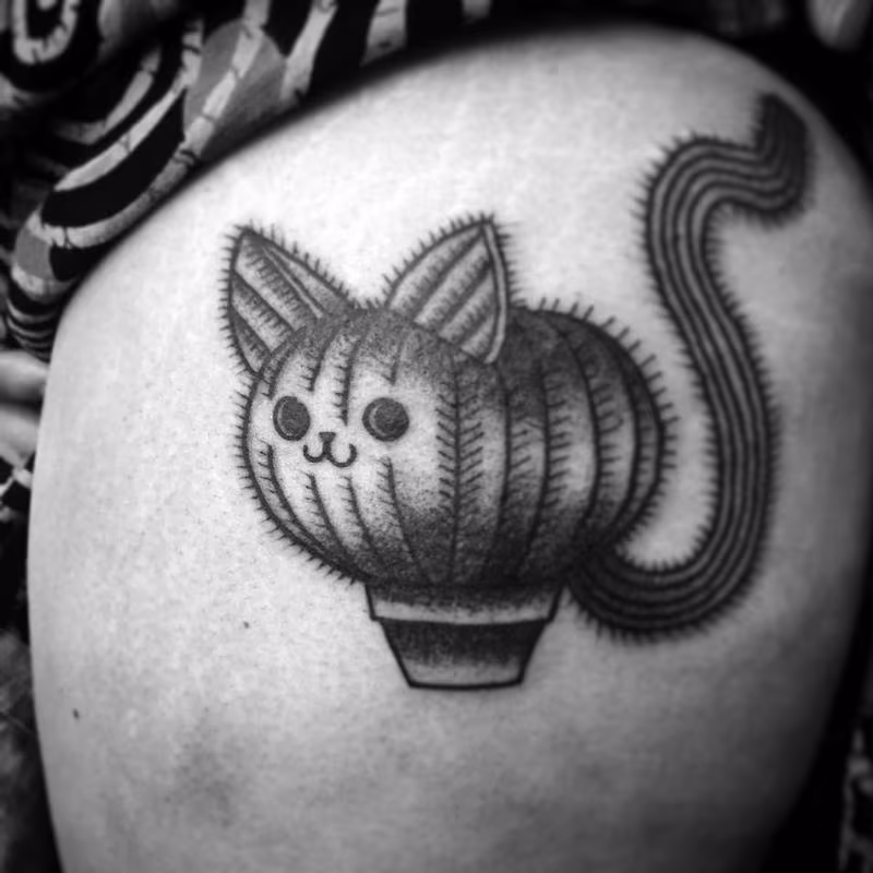 cactus cat